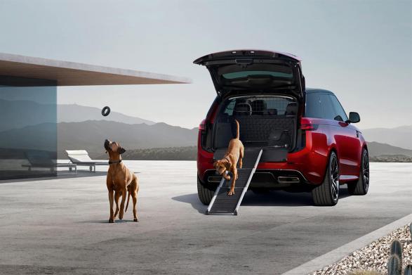 Land Rover mit Hunden
